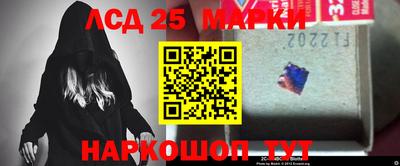 шишки Нарткала