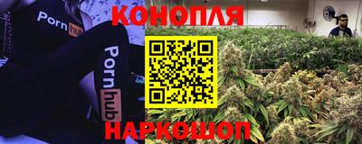шишки Нарткала