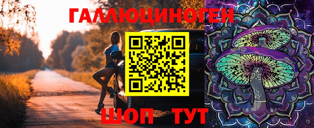 Галлюциногенные грибы мухоморы  магазин продажи   Улан-Удэ  Вход с VPN  Псилоцибиновые грибы GOLDEN TEACHER 